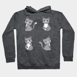 Funny Cute Tabby Grey cats Hoodie